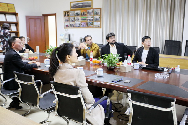 双方进行会议交谈 双方进行会议交谈
