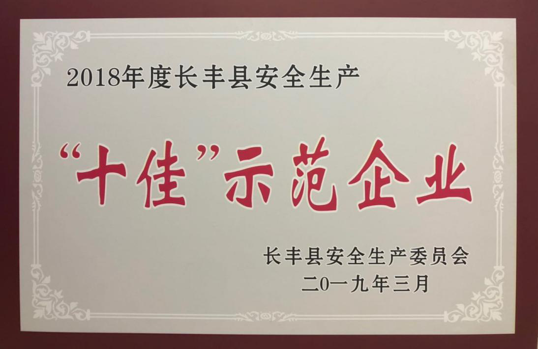 十佳示范企业.png 十佳示范企业.png