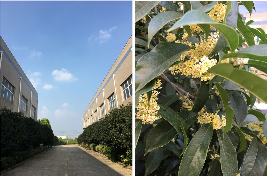 得润电气 出口成套高低压开关柜 配电柜 联系电话:400-0551-777 qq:3176885416 得润电气 出口成套高低压开关柜 配电柜 联系电话:400-0551-777 qq:3176885416